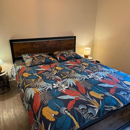 Residence Bois Du Bouchet, Appartement Vue Montagne, Calme, Parking Gratuit, Proche Centre シャモニー エクステリア 写真