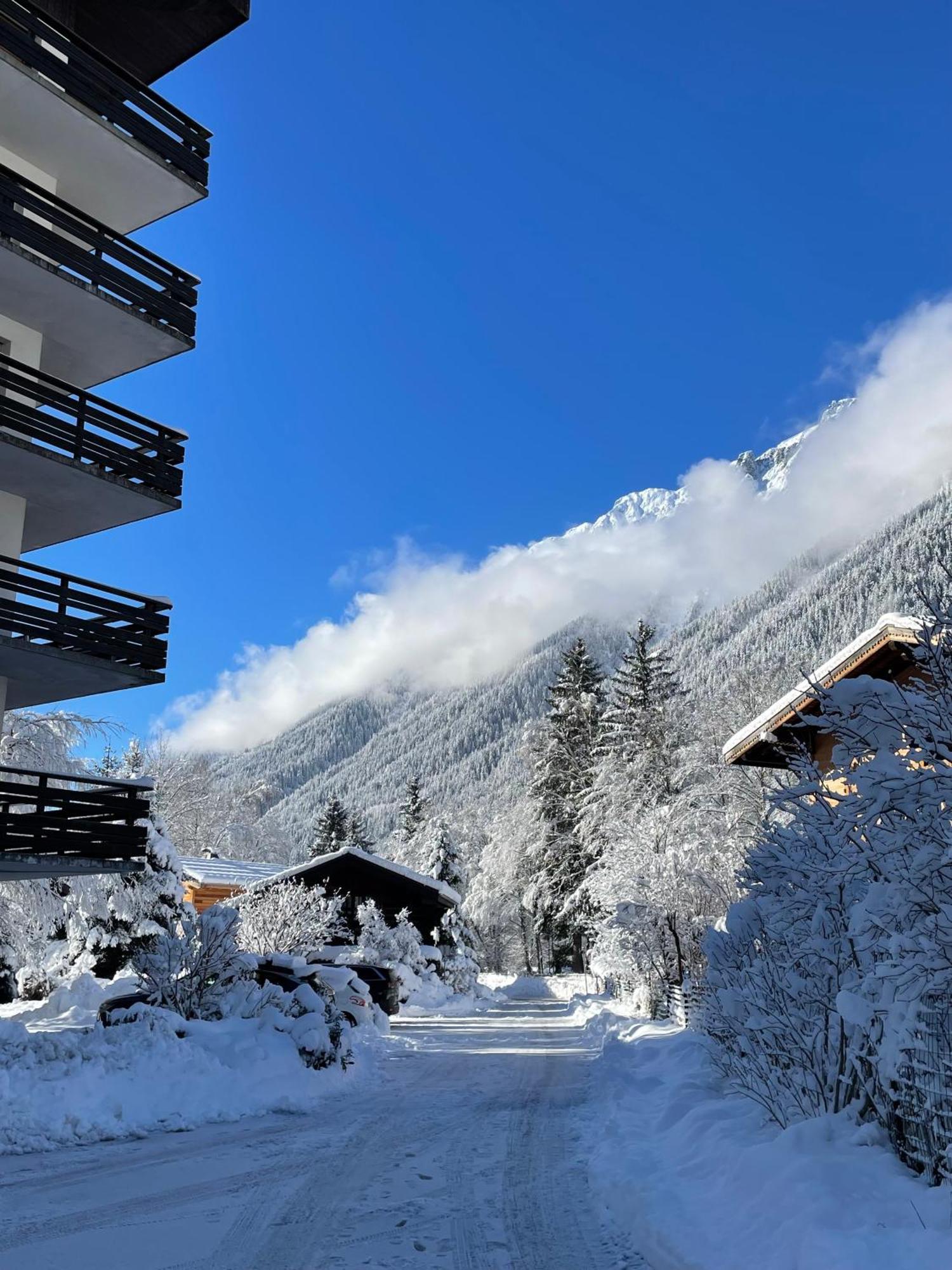 Residence Bois Du Bouchet, Appartement Vue Montagne, Calme, Parking Gratuit, Proche Centre シャモニー エクステリア 写真