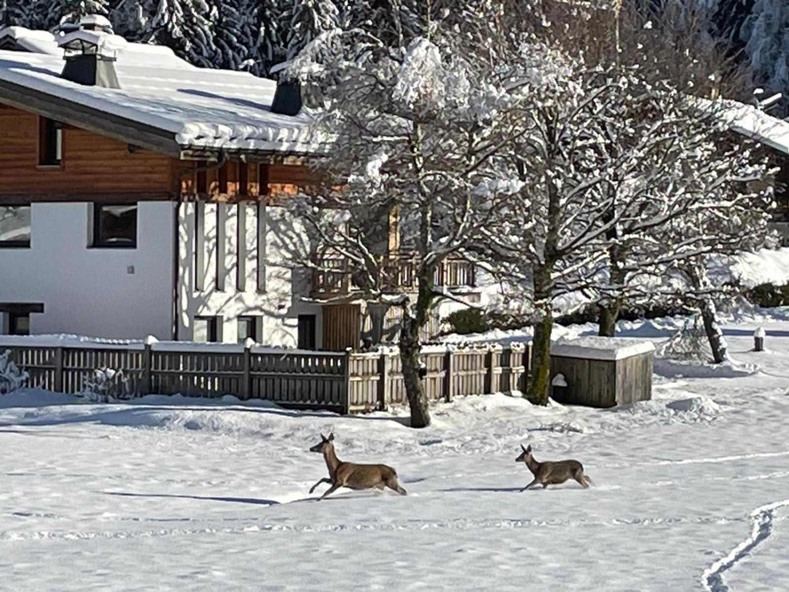 Residence Bois Du Bouchet, Appartement Vue Montagne, Calme, Parking Gratuit, Proche Centre シャモニー エクステリア 写真