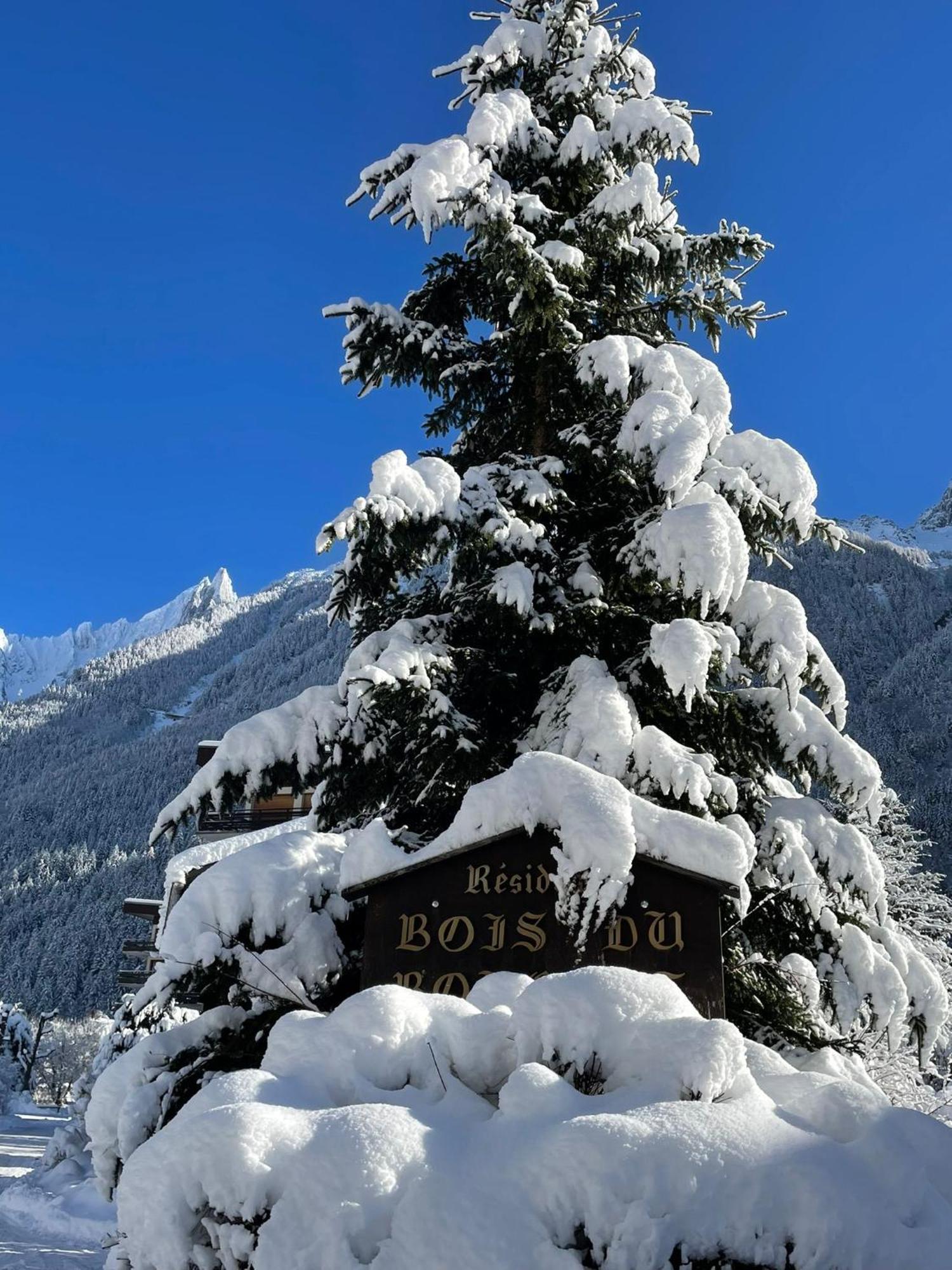 Residence Bois Du Bouchet, Appartement Vue Montagne, Calme, Parking Gratuit, Proche Centre シャモニー エクステリア 写真