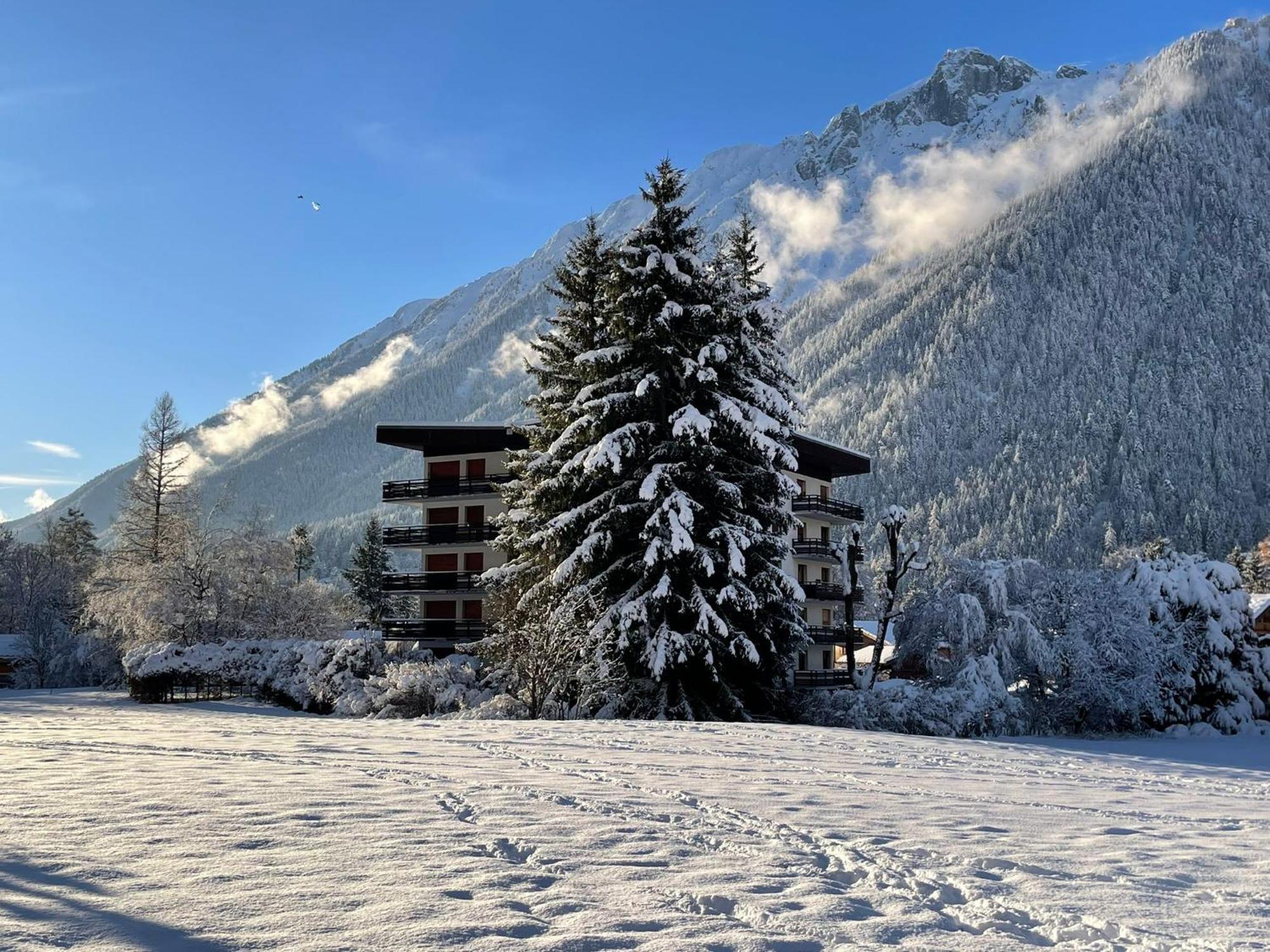 Residence Bois Du Bouchet, Appartement Vue Montagne, Calme, Parking Gratuit, Proche Centre シャモニー エクステリア 写真